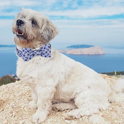 Lionet Paws Dog Collar with Bowtie, Summer Bowtie Collar for Dog,Adjustable Comfortable Dog Collar Gift for Puppy Small Medium Large Dog