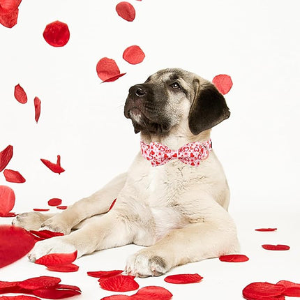 Maca Bates Valentine's Day Dog Collar with Fancy Bow for Medium Girl Boy Dogs,Love Pink Hearts Pattern,Adjustable Durable Soft Valentine Gift for Female Male Puppy