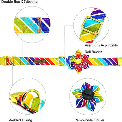 Lionheart glory Rainbow Dog Collar with Flower Colorful Summer Dog Flower Collar Heavy Duty Adjustable Pride Collars for Large Dogs Pet Gift Holiday