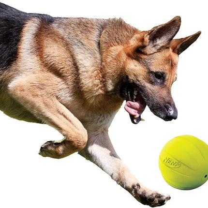Nerf Dog Rubber Ball Dog Toy with Squeaker, Lightweight, Durable and Water Resistant, 4 Inch Diameter for Medium/Large Breeds, Single Unit, Green