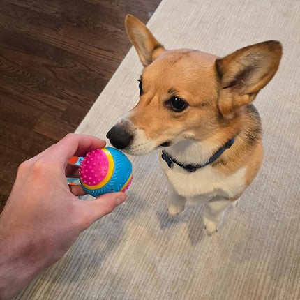 SPOT Sensory Ball for Soft Chewers - Stimulates All 5 Senses, Bell & Squeaker Sounds, Raised Nubs Clean Teeth, High Contrast Fetch Toy, Beef Scented, Durable TPR Rubber Ball, 2.5-inch