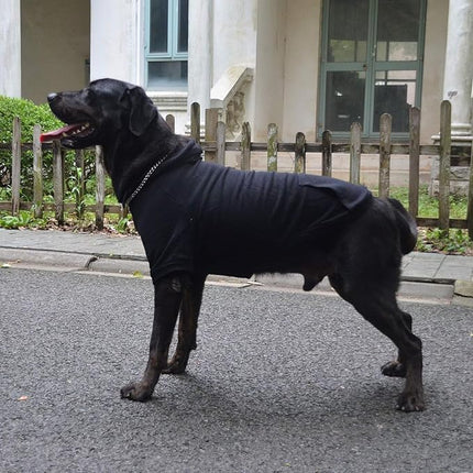 Lovelonglong Blank Basic Hoodie Sweatshirt for Dogs 100% Cotton Fits Small Medium Dachshund Large Dog Black XS