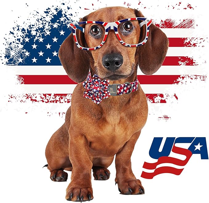 Lionheart glory American Flag Dog Collar 4 of July Dog Collars with Flower Independence Patriotic Dog Flower Collars Heavy Duty Adjustable Collar Flower for Large Dogs Pet Gift