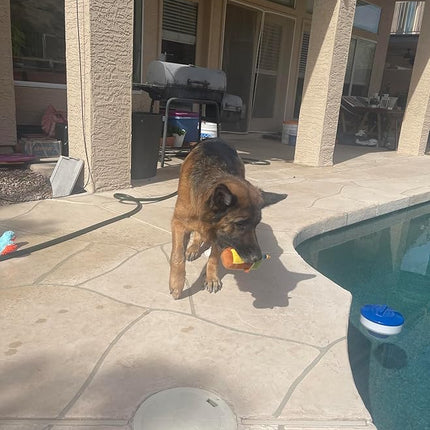 Jalousie 5 Pack Tough Plush Animal Dog Toys Assortment Value Bundle Dog Squeaky Toys Assortment Puppy Pet Mutt Dogs Toy Squeak Toy for Snall Medium Large Breeds (6 Pack Surprise Mix)