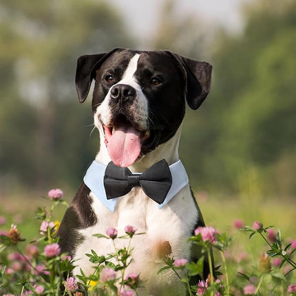 Dog Bowtie, KOOLMOX Dog Bow Tie Collar Handcrafted Adjustable Formal Pet Black Bowtie Neck Bow for Dogs Medium to Large Boy Dogs Tuxedo Collar Pet Wedding Birthday Gift