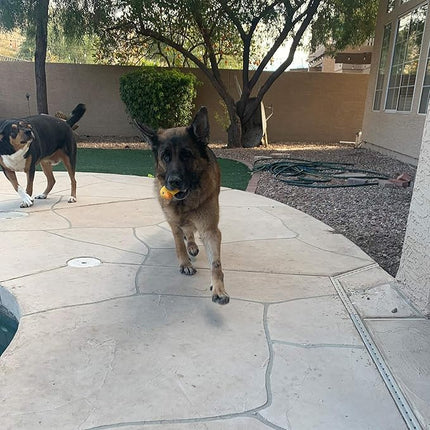 Jalousie 4 Inch Latex Dog Squeaky Toys, Soft Rubber Chew Toy, Animal Ball for Puppy Small Medium Pets (5 Pack)