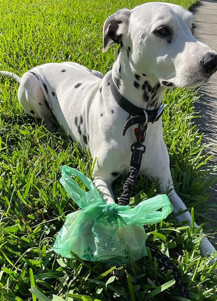 BioBag Premium Pet Waste Bags with Handles, Standard Size, 150 Count, Great For All Dog Breeds