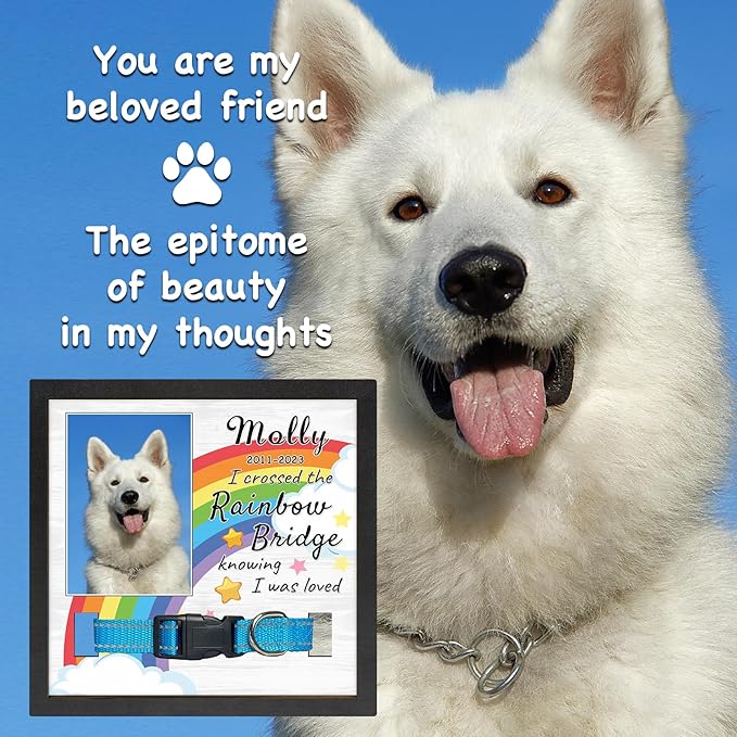 Personalized Dog Memorial Gifts Picture Frame for Loss of Dogs, in Memory of Dog Passing Away Sympathy Gifts, Cat Memorial