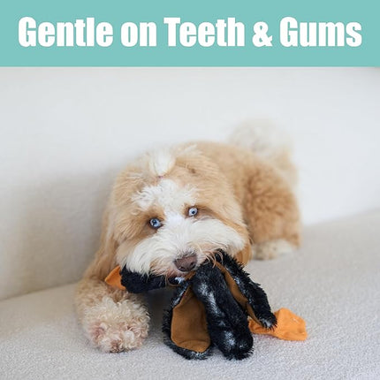 SPOT Skinneeez Mini Mallard Duck 13 Inch Stuffing-Free Plush Squeaky Dog Toy – Soft Interactive Toy for Small and Medium Dogs – Mess-Free Play for Light & Moderate Chewers – Assorted Styles