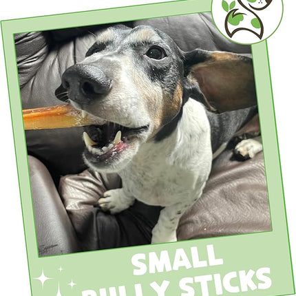 Nature Gnaws Small Bully Sticks for Dogs 5-6" (5 Count) - Long Lasting for Light Chewers and Puppies - Natural Thin Beef Dog Chew Bones - Rawhide Free