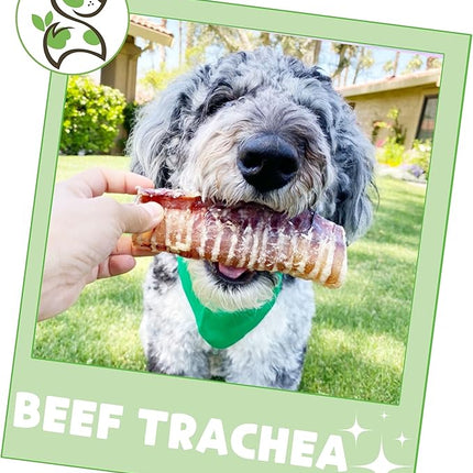 Nature Gnaws Beef Trachea Chews for Dogs 6" (6 Count) - Long Lasting Natural Crunchy Dog Chew Bones - Rawhide Free (Pack of 2)