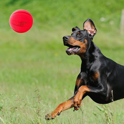 Nerf Dog Classic Squeak Ball Outdoor Dog Toy, 3.8 Inch Dog Ball Fetch Toy, Squeaking Toy for Medium and Large Breeds, Green/Red, 2 Count