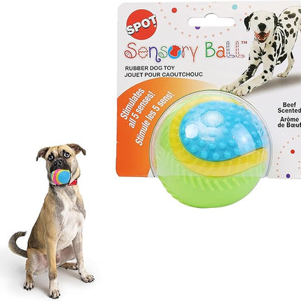 SPOT Sensory Ball Dog Toy for Soft Chewers – 3.25-Inch Durable TPR Rubber Ball with Squeaker and Bell, Textured for Gentle Chewing, High-Contrast Colors for Indoor & Outdoor Fetch Play