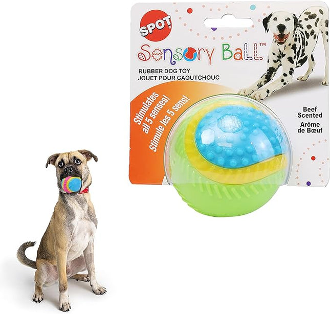 SPOT Sensory Ball Dog Toy for Soft Chewers – 3.25-Inch Durable TPR Rubber Ball with Squeaker and Bell, Textured for Gentle Chewing, High-Contrast Colors for Indoor & Outdoor Fetch Play