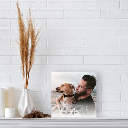 Lifesong Milestones Wooden Shadow Box Cremation Urn for Pet Ashes| Urns for Ashes of Deceased Pet Dog Cat| Sympathy Keepsake 10x10