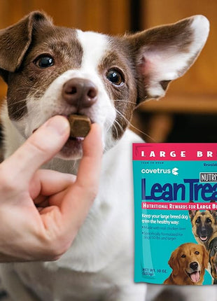 Butler Lean Treats Nutritional Rewards For Large Dogs (1 Pack), 10 Oz/Large