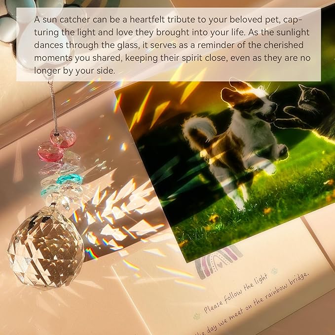 Pet Memorial Gifts for Dogs, Loss of Cat Sympathy, Remembrance Bereavement Crystal Suncatcher with Natural Cat's Eye Stone Paw, Rainbow Bridge Memorial Gift for Passing Away Loving Pets