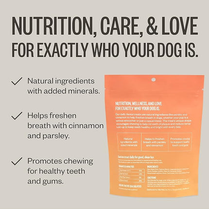 Ollie Dental Chews for Medium Dogs, 12 Oz, Fresh Breath, Teeth Cleaning Treats, Sticks for Dog Oral Care, with Parsley and Cinnimon, for Pups 26-50 lbs