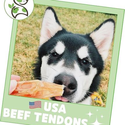Nature Gnaws USA Beef Tendons for Dogs 1 Pound (8oz X2) - Mixed Thickness - Long Lasting for Aggressive Chewers - Premium Natural Beef Dog Chew Treats - Rawhide Free (Pack of 2)