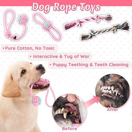 12 Pack Puppy Toys for Teething, Small & Medium Dogs – Chew Toys, Rope Toys & Interactive Dog Toys Set with Storage Box for Training, Play & Boredom Relief
