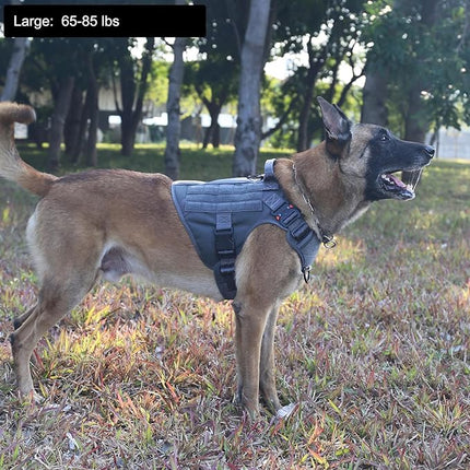 ICEFANG Tactical Dog Harness, Large Size,2X Metal Buckle,Working Dog MOLLE Vest with Handle,No Pulling Front Leash Clip,Hook and Loop Panel (Grey,L (Pack of 1))