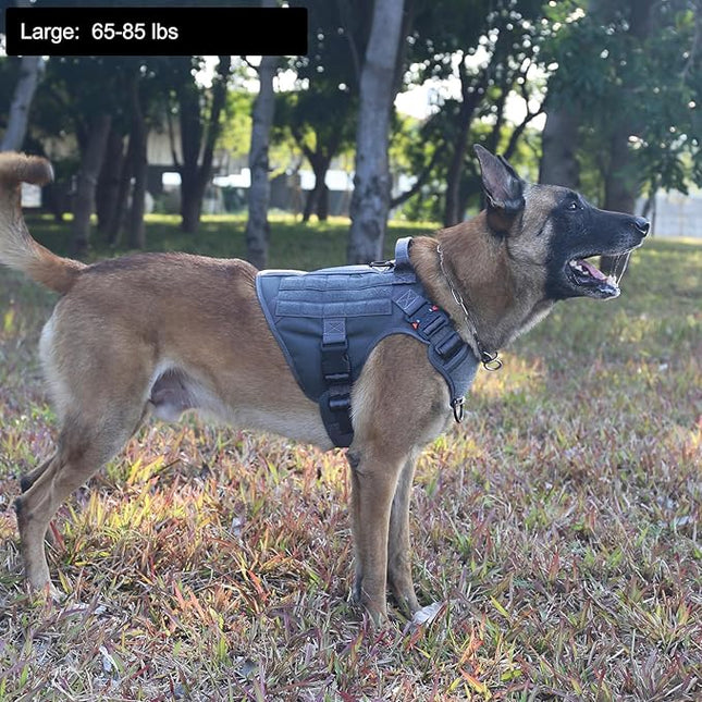 ICEFANG Tactical Dog Harness, Large Size,2X Metal Buckle,Working Dog MOLLE Vest with Handle,No Pulling Front Leash Clip,Hook and Loop Panel (Grey,L (Pack of 1))