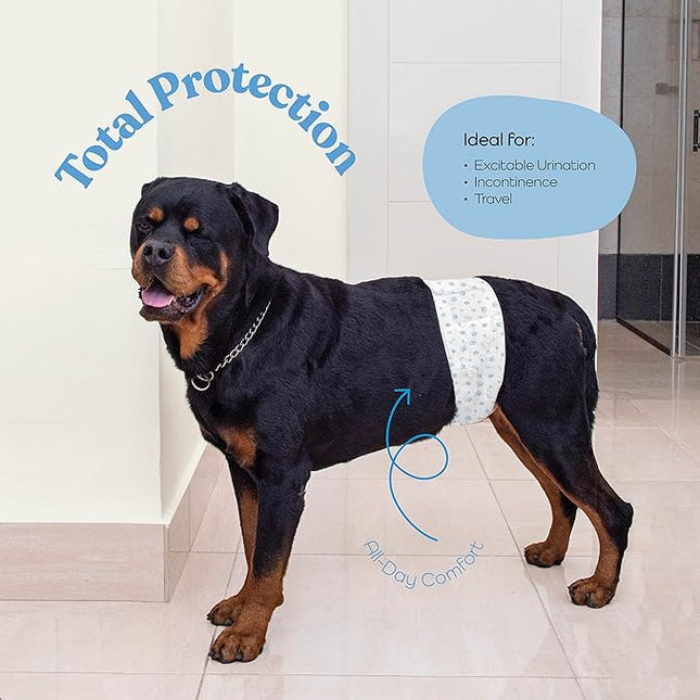 Comfortable Male Dog Diapers - 12-Pack Super Absorbent Disposable Male Dog Wraps- FlashDry Gel Technology, Wetness Indicator Doggie Diapers- Leakproof Belly Wraps for Incontinence, Excitable Urination