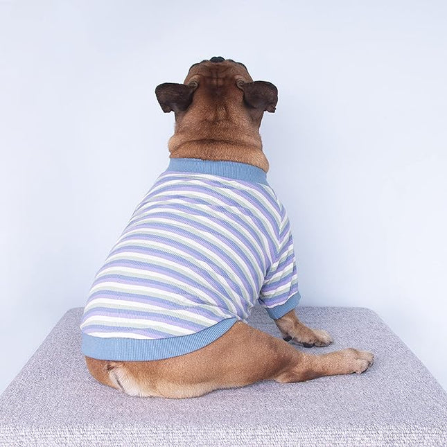 iChoue English Bulldog High Stretchy Breathable Summer Cooling T Shirts Vest Clothes for Medium Dogs Large French Frenchie Pug English Pitbull Boston Terrier Blue Stripe - XLarge