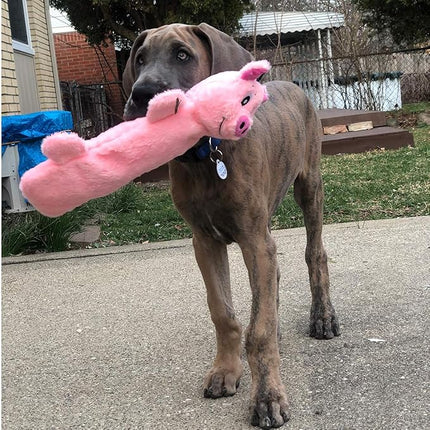 SmartPetLove Snuggle Puppy Tender Tuffs - Water Bottle Cruncher with Puncture Resistant Squeaker - Pig Bottle Cover Dog Toy