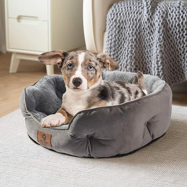 Asvin Medium Dog Bed for Medium Dogs, Cat Beds for Indoor Cats, Pet Bed for Puppy and Kitty, Extra Soft & Machine Washable with Anti-Slip & Water-Resistant Oxford Bottom, Grey, 25 inches