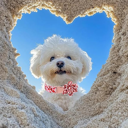 Maca Bates Valentine's Day Dog Collar with Floral Bow for Extra Large Girl Boy Dogs,Red Love Hearts Pattern,Adjustable Durable Soft Valentine Gift for Female Male Puppy