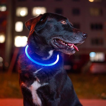 Light up Dog Collar, BSEEN USB Rechargeable Flash Dog Necklace Light, Pet Safety Collar Makes Your Beloved Dogs Be Seen at Night for Small Medium Large Dogs(Blue)