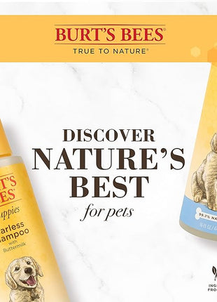 Burt's Bees for Pets Tearless Puppy Shampoo with Buttermilk, 6pk, 95% Natural Origin Formulas, Best Tearless Shampoo for Puppies - Gentle Dog and Puppy Shampoo Tear Free, 16 oz - 6 Pack