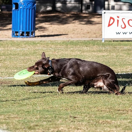 Hyperflite K-10 Jawz Glow Disc • for Dogs Over 16" • 8.75 Inch / 155 Grams • Puncture Resistant • Glows in The Dark • Made in The USA