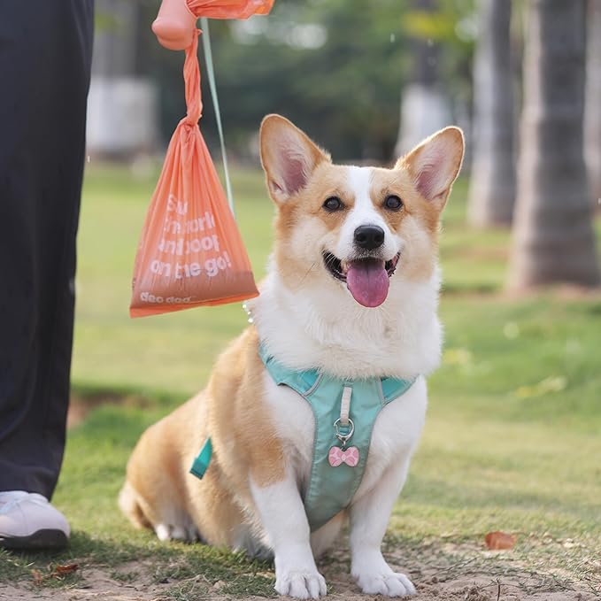 Dog Poop Bags with Handles 9 Rolls 108 Counts Big Sizes Leak Proof and Extra Thick Waste Bags Refill Rolls for Walking Small Medium Large Dogs Cats Litter With Holder Peach Scented