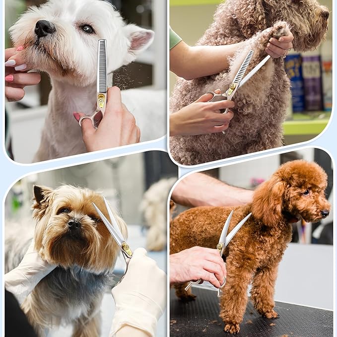 JASON Professional Dog Grooming Scissors Set - 6 in 1 Sharp Shears Set With 7" Thinning, Chunker, Straight, Curved Shears and Comb for Cat Pet, Rosegold