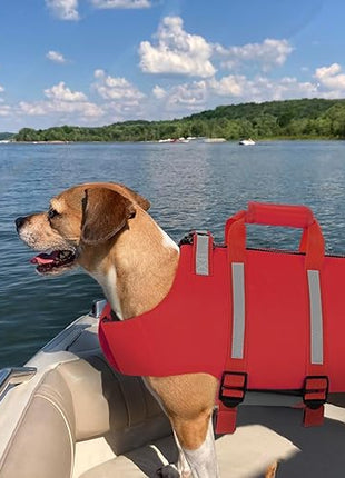 Queenmore XS Dog Life Jacket, Dog Life Vest for Swimming, Life Jackets for Small Dogs, Small Doggie Life Vest for Swimming, Adjustable Pet Life Vest for Boating, Cat Lifevest (Red, XS)