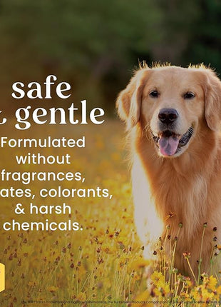 Burt's Bees for Pets Multipurpose Dog Wipes with with Honey, 98% Natural Origin Formulas, Hypoallergenic Dog Wipes Cleaning, Dog Cleaning Wipes, Dog Wipes for Paws and Butt, 100ct