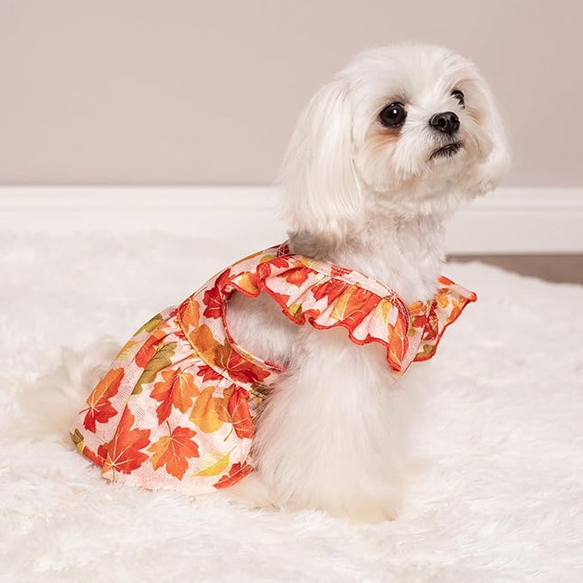 Fitwarm Maple Dog Dress, Ruffled Doggy Thanksgiving Dress, Fall Dog Clothes for Small Dogs Girl, Pet Outfit, Red, Orange, Large