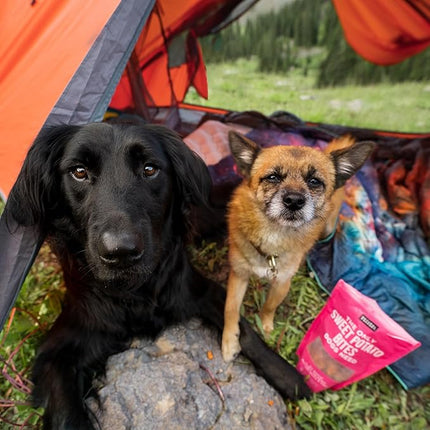 Natural Rapport Sweet Potato Bites - The Only Treat Dogs Need - 100% Dehydrated Sweet Potato Pet Treats (8 oz)