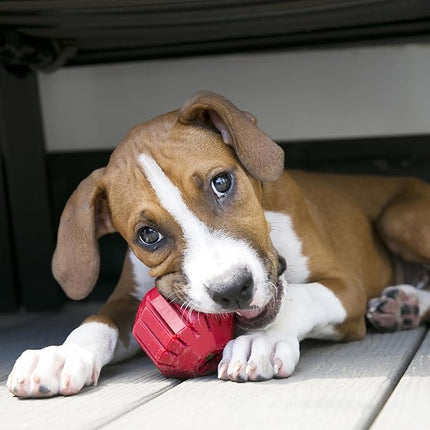 KONG Stuff-A-Ball - Durable Chew Toy for Dogs - Natural Rubber Dog Toy for Dental Health - Pet Toy for Chewing & Teeth Cleaning - Stuffable Toy for Dog Treats & Snacks - for Large Dogs