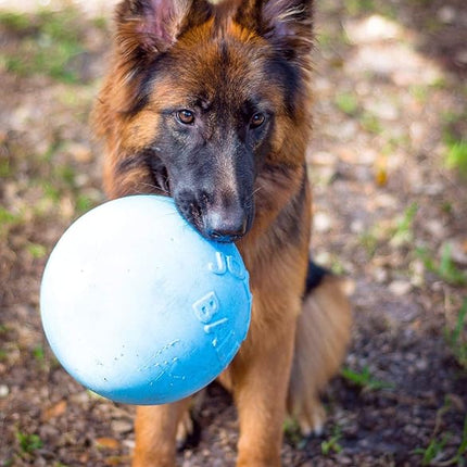 Jolly Pets Bounce-n-Play Dog Toy Ball, 8 Inches/Large, Blueberry, (Model: 2508 BB)