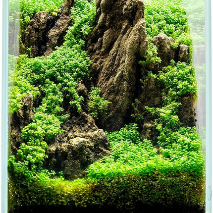 UNS Ultra Clear Rimless Tank - 5.9GAL | 22.5L - 9.84x9.84x14.17 | 25x25x36 CM, 5mm Glass Thickness, Leveling Mat Included - Low Iron, High Clarity Fish Tank w/ 45° Mitered Edge - [25T]