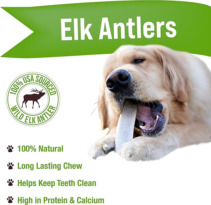 Buck Bone Organics Dog Chews, Elk Antlers for Dogs, Long Lasting Dog Bones for Aggressive Chewers, All Natural, No Preservatives, Wild Shed in The USA (Large)