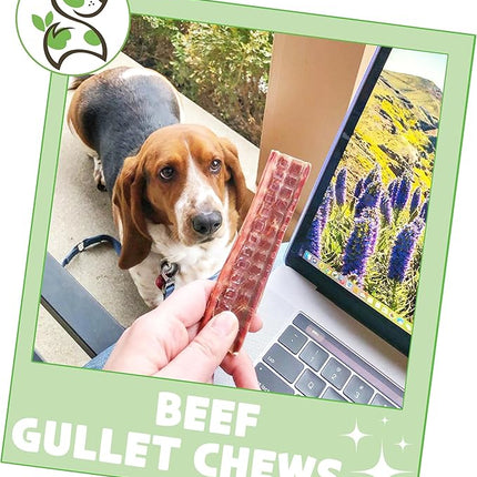 Nature Gnaws Beef Gullet Chews for Small Dogs 4-5" (50 Count) - Natural Beef Jerky Stick Dog Chew Treats - Rawhide Free