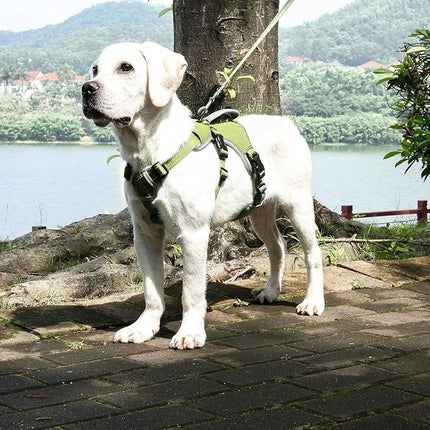 BELPRO Multi-Use Support Dog Harness, Escape Proof No Pull Reflective Adjustable Vest with Durable Handle, Dog Walking Harness for Big/Active Dogs (Green, XL)
