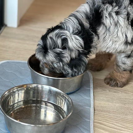 rocket & rex Premium Washable Pet Carrier Pads, Reusable, Waterproof & Absorbent, Dog and Cat Pads for Lining Travel Carriers, Litter Boxes, Pet Crates & More, 17.5" x 11" (Pack of 2)