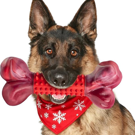 Apasiri Tough Dog Toys for Aggressive Chewers Beef Flavor: 8" Dog Chew Bone for Large Breed, Nylon & Rubber Chew Toy for Medium Large Dogs