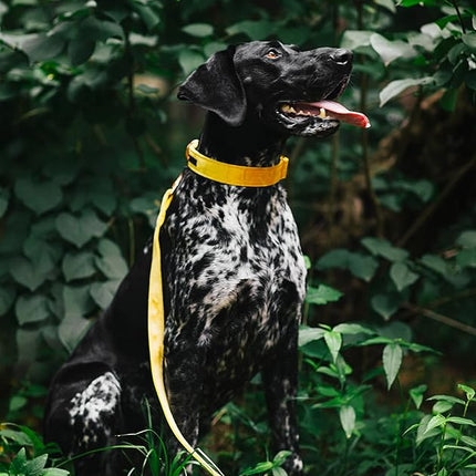 ARING PET Velvet Dog Collar and Leash Set, Bright Yellow Dog Collar and Leash, Adjustable Soft Collars for Dogs