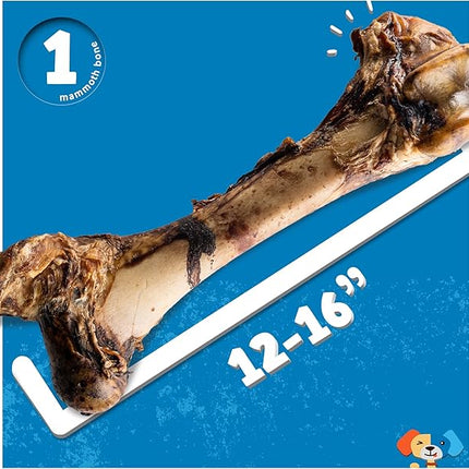 Jack&Pup Mammoth Big Dog Bones for Large Dogs, 15" Femur Beef Bones for Agressive Chewers, Natural Giant Dog Bone (1 Pack)